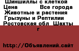 Шиншиллы с клеткой › Цена ­ 8 000 - Все города Животные и растения » Грызуны и Рептилии   . Ростовская обл.,Шахты г.